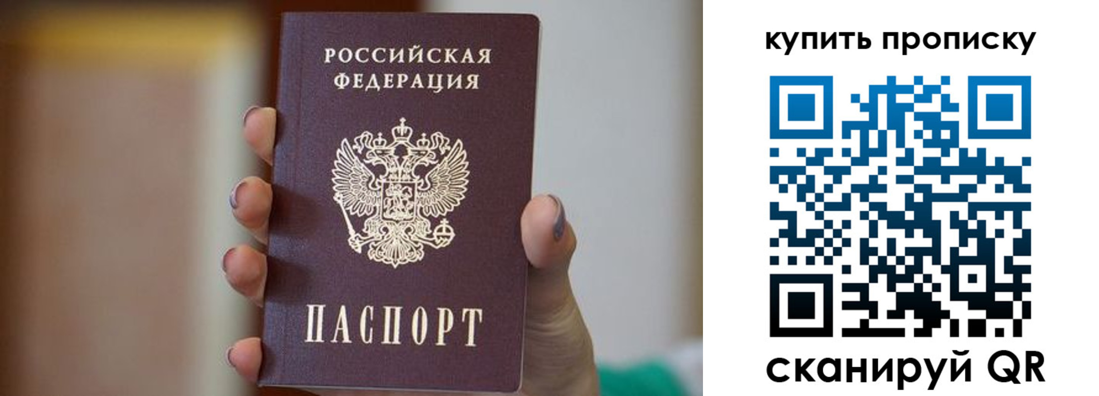 найти адрес прописки в Алексеевке